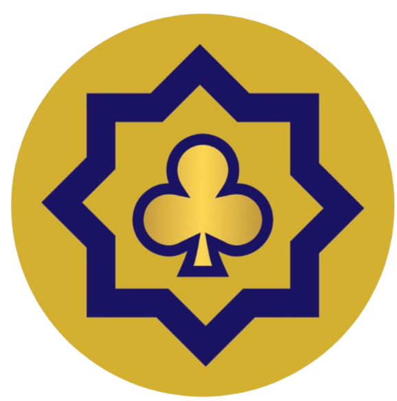 simpletin consulting logo